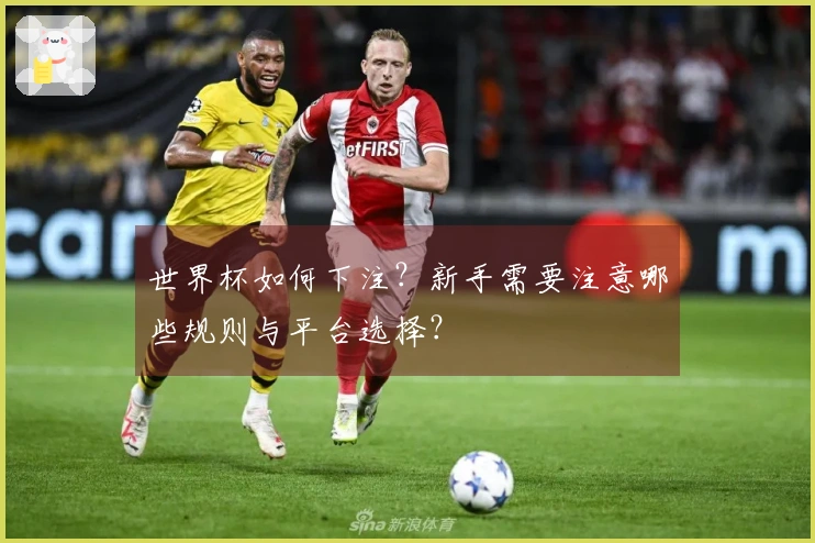 世界杯如何下注？新手需要注意哪些规则与平台选择？
