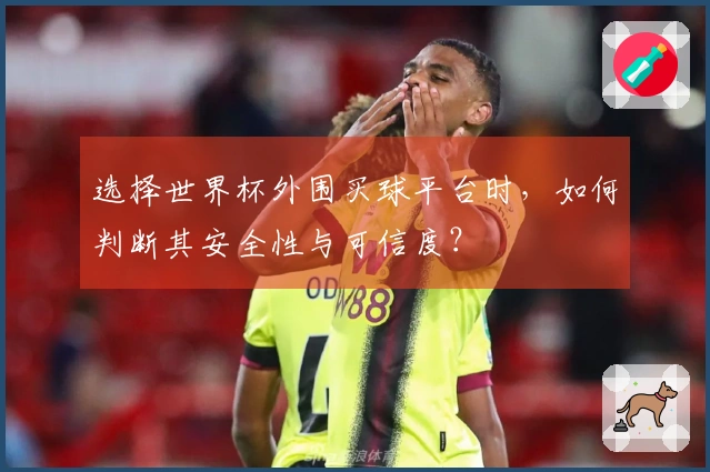 选择世界杯外围买球平台时，如何判断其安全性与可信度？